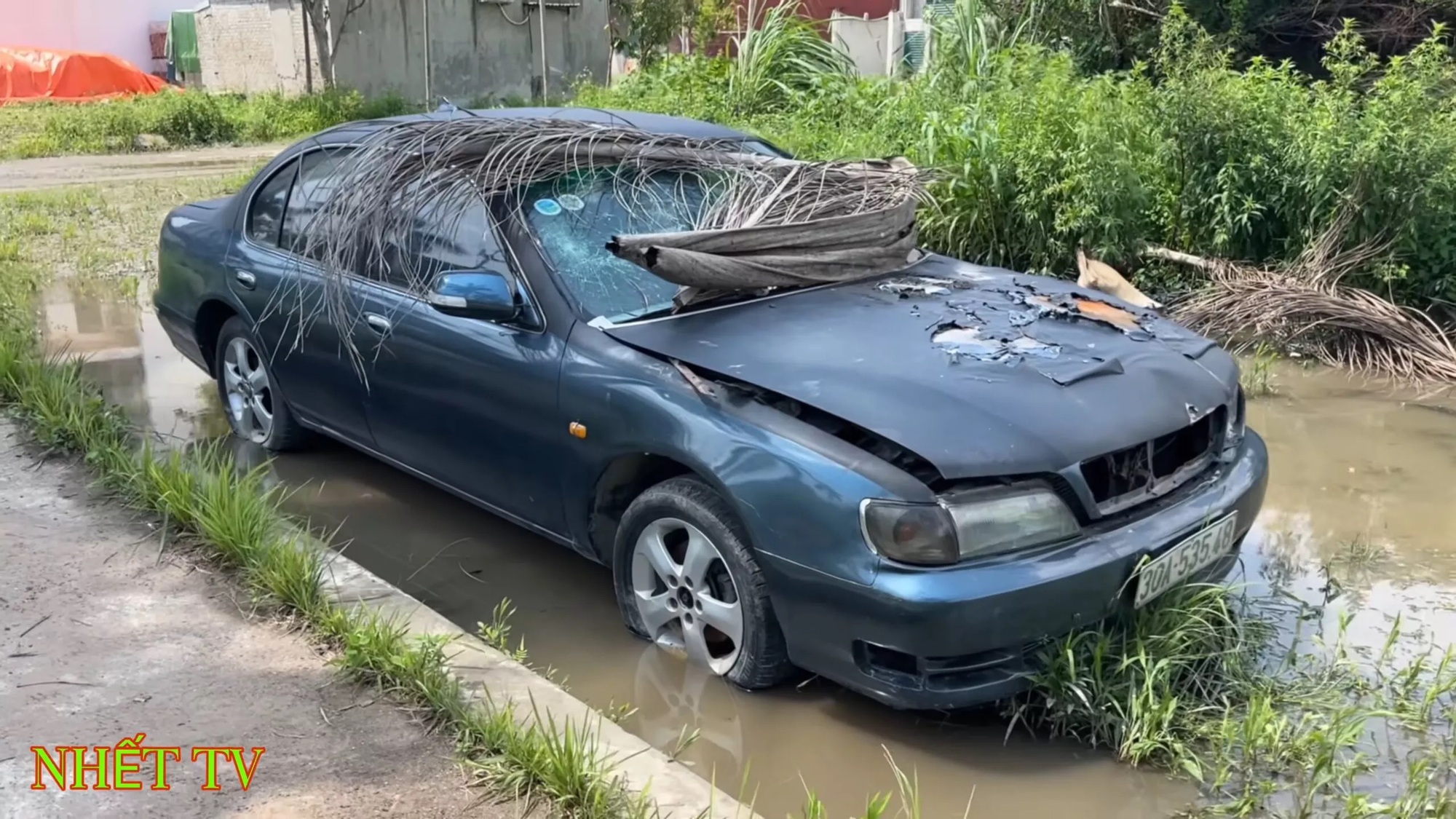 Xe Nissan Maxima làm nền tảng