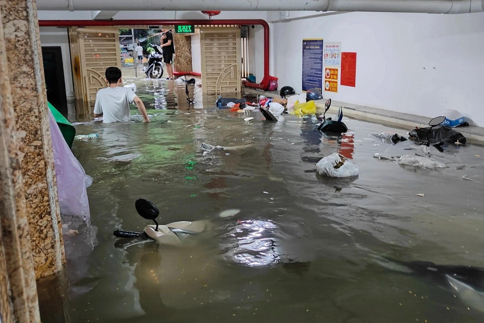 Hướng dẫn quy trình giám định thiệt hại do thủy kích