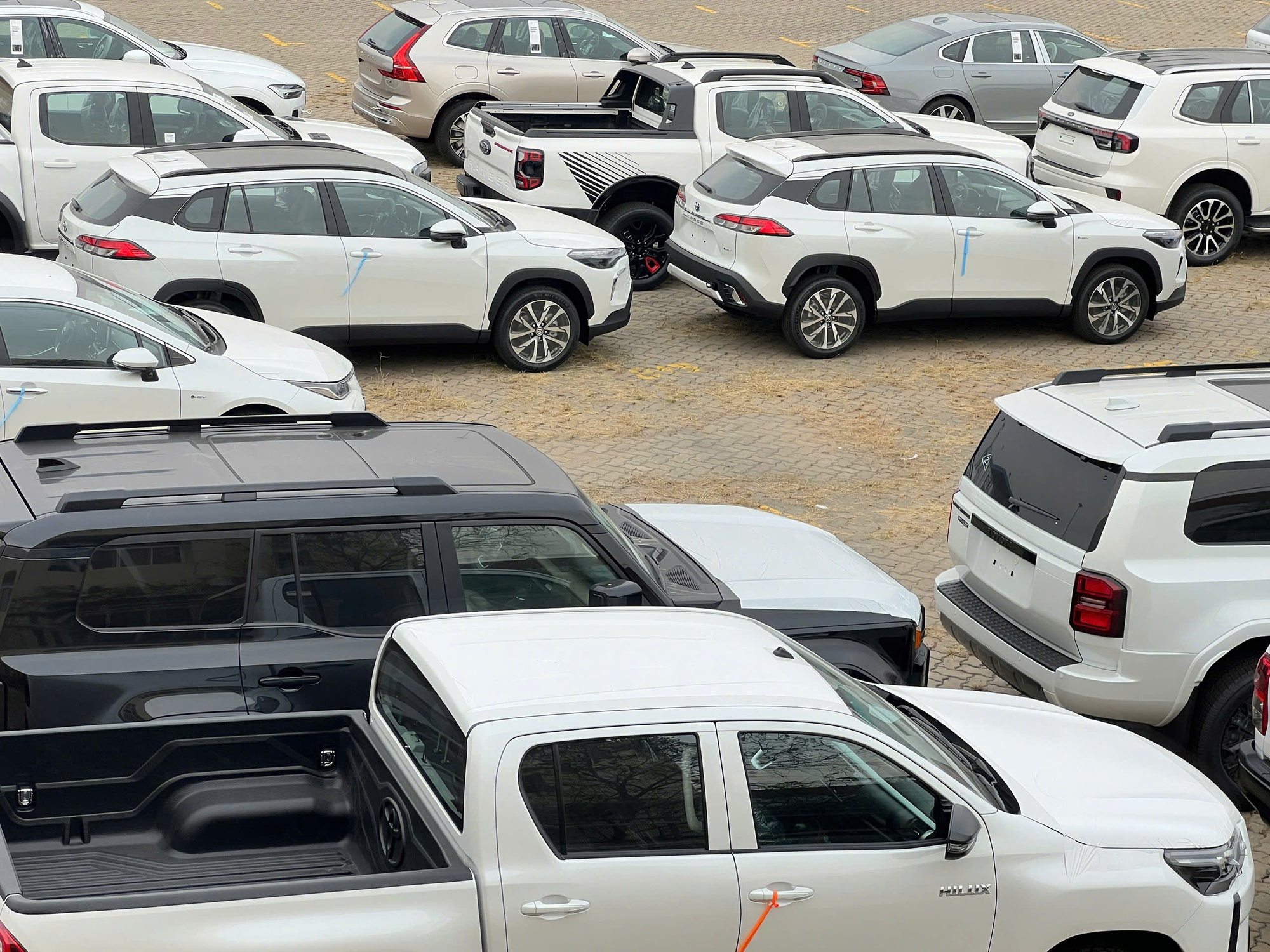 Hình ảnh hàng ngàn chiếc ô tô nhập về cảng TP HCM- Ảnh 2. Hàng ngàn xe ô tô vừa cập cảng TP HCM